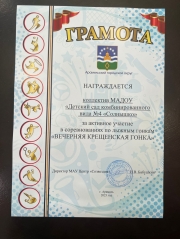 вечерняя_крещенская_лыжная_гонка_(2).jpg