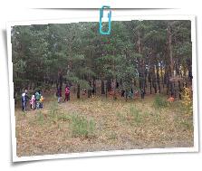 IMG_20220918_130323.jpg