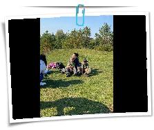 IMG-20230917-WA0086.jpg