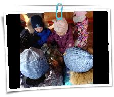 IMG_20260226_104718_305.jpg