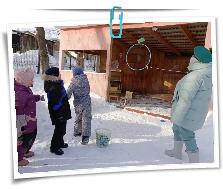 IMG_20260226_104726_468.jpg