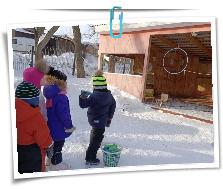 IMG_20260226_104734_731.jpg