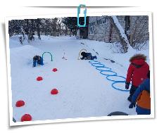 IMG_20260226_104810_960.jpg
