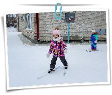 IMG_20260203_115004.jpg