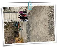 IMG_8354.JPG