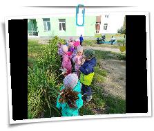 IMG_20250916_112305.jpg
