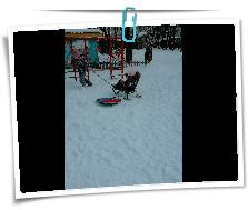 IMG_20220202_120229.jpg