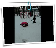 IMG_20220224_110913.jpg