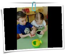 IMG_20220316_161537.jpg