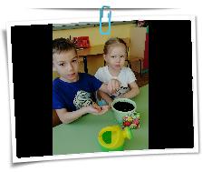 IMG_20220316_161555.jpg
