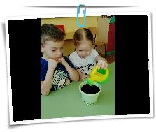IMG_20220316_161742.jpg
