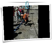 IMG_20220601_112458.jpg
