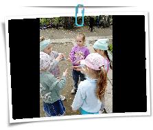 IMG_20220608_113406.jpg