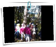 20180917_114748.jpg