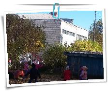 20180926_113130.jpg