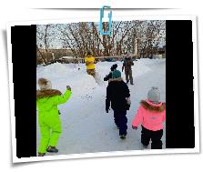 IMG_20240220_094110_831.jpg