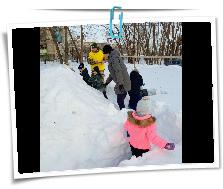 IMG_20240220_094226_561.jpg