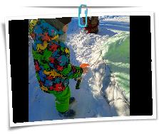 IMG_20240124_113021_030.jpg