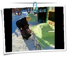 IMG_20240124_115251_183.jpg